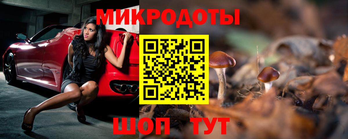 Псилоцибиновые грибы Psilocybe  Вход с VPN  Кушва 